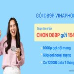 Thông tin ưu đãi của gói cước D89P Vinaphone